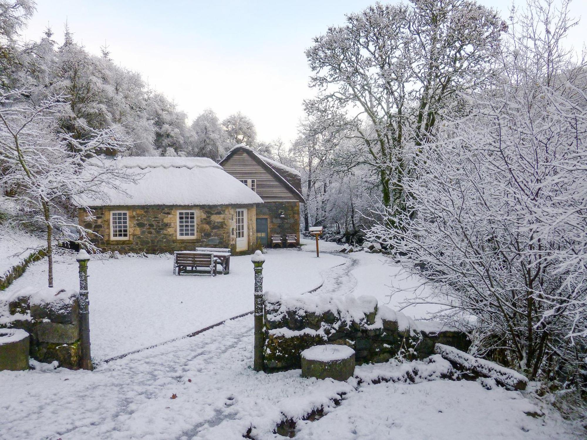 Forget Me Not - Skkz Dalmellington Exterior foto