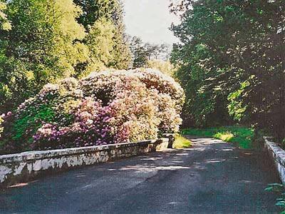 Forget Me Not - Skkz Dalmellington Exterior foto